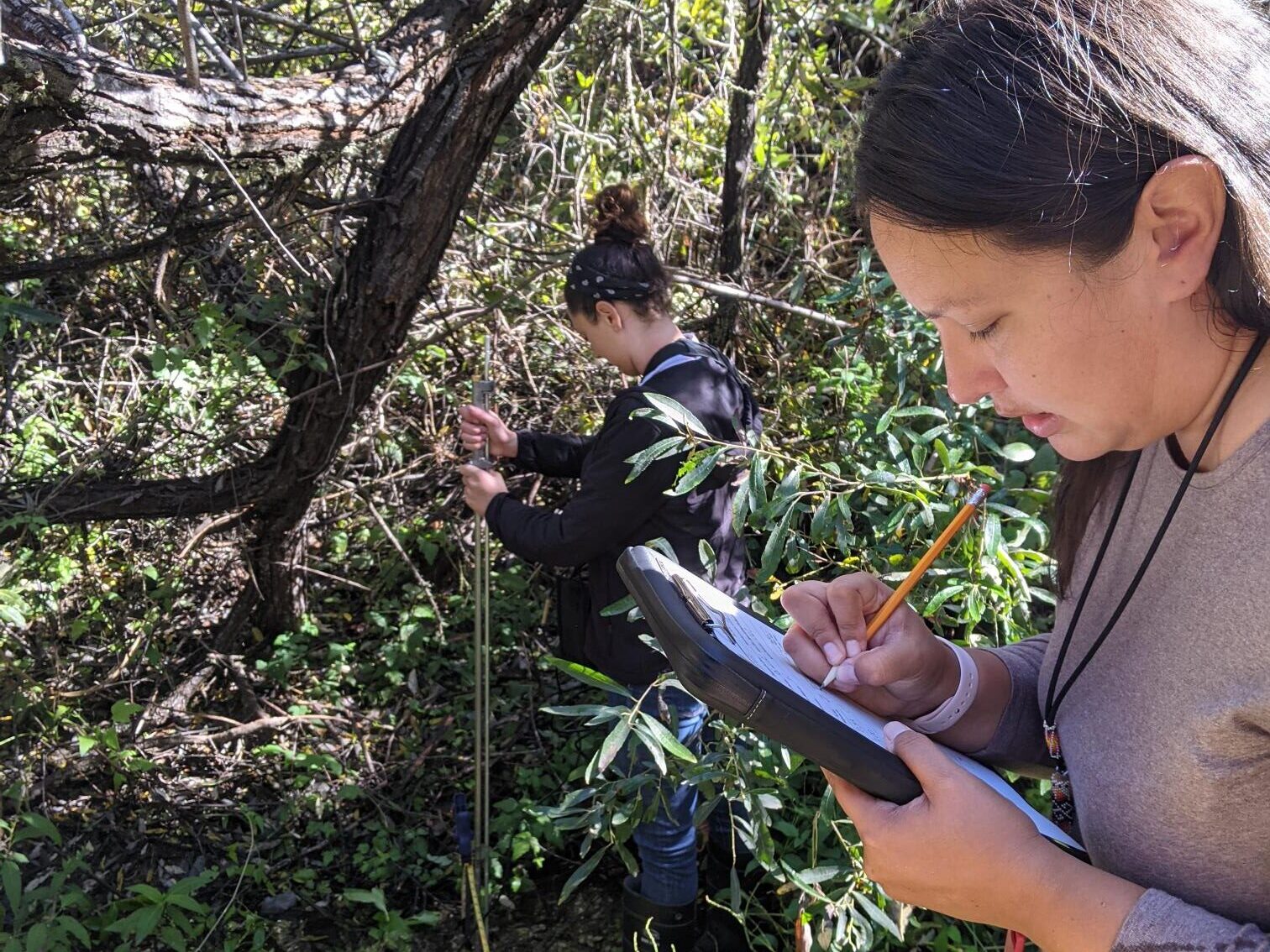 Native American Tribal Marine Conservation: Indigenous Stewardship of Coastal Waters